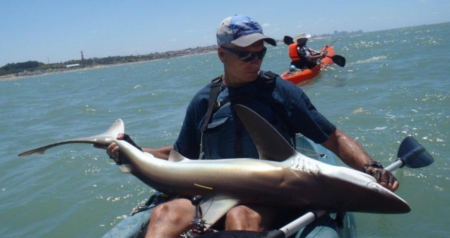 Angler trained by the CLP team releasing a tagged bronze whaler shark in Mar del Plata
