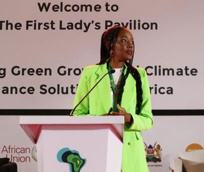 Facilitating capacity building, knowledge exchange and collaboration in the Kenyan conservation technology community