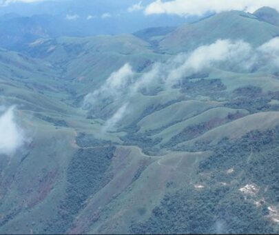 Conservation of the Endangered Preuss’s monkey on the Obudu Plateau, Nigeria