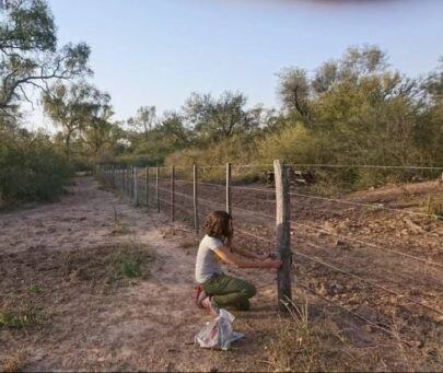 Building knowledge, tools and capacity for mammal conservation in Chaco agroecosystems of Argentina