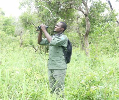Training the next generation of biologists to help save elephants and lions in Nigeria