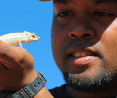 An integrative research and conservation programme for the Chamaeleonidae from southwestern Madagascar