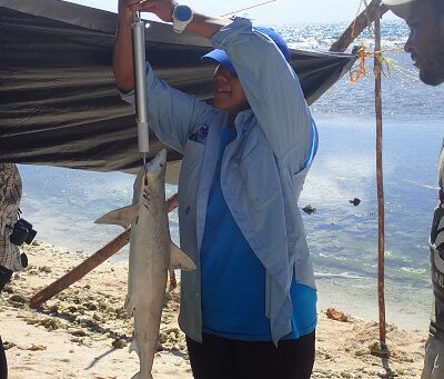 Enabling Support for Sharks in the Miskito Cays of Honduras