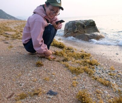 Supporting the implementation of Marine resource management project in Nui Chua National Park