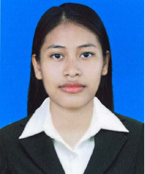 Marine turtle conservation project intern