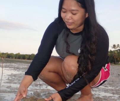 Conservation of the tri-spine horseshoe crab and its habitat in Palawan, Philippines