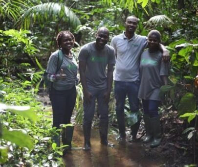 Saving the Critically Endangered intermediate puddle frog in Ghana