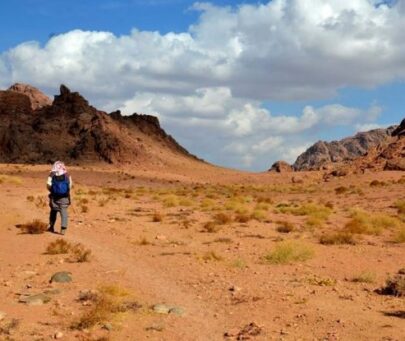 A community-based recovery programme for the most threatened endemic plants in Egypt