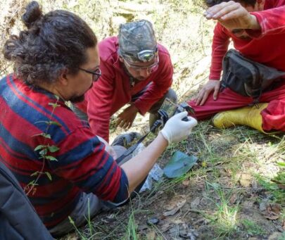 Action plan for amphibians in northeastern Colombia: ten years of monitoring and research