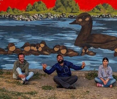 Research and conservation of the velvet scoter in Georgia