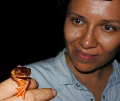 Reconnecting with nature: attitude change towards conservation of the cloud forest herpetofauna in a Chinantec community