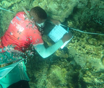 Coral reef monitoring in Tanzania