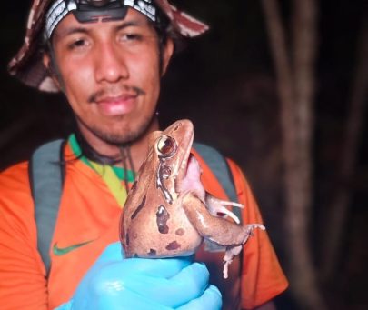 Island Explorer Initiative: Documenting Dominica’s Biodiversity and Sparking Conservation Engagement