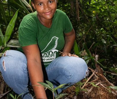 Documenting and safeguarding traditional medicinal knowledge on PrÃncipe Island, São Tomé and PrÃncipe